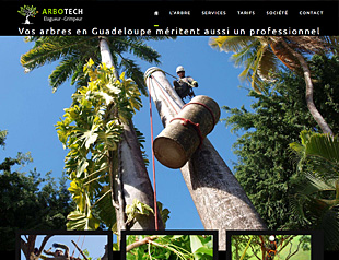 voir le site Arbotech Elagage Arbotech Elagage un site réalisé par AGWANET, agence de création et de maintenance de site internet en Guadeloupe