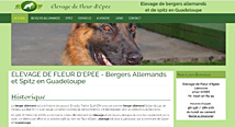 Fleur d'Epée élevage de chiens, berger allemand et spitz en Guadeloupe par Agwanet